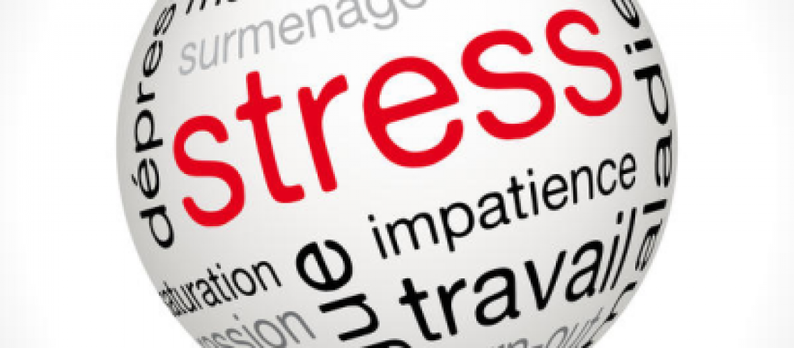 Chrystel ARTUS Article N°1 RPS Janvier 2016