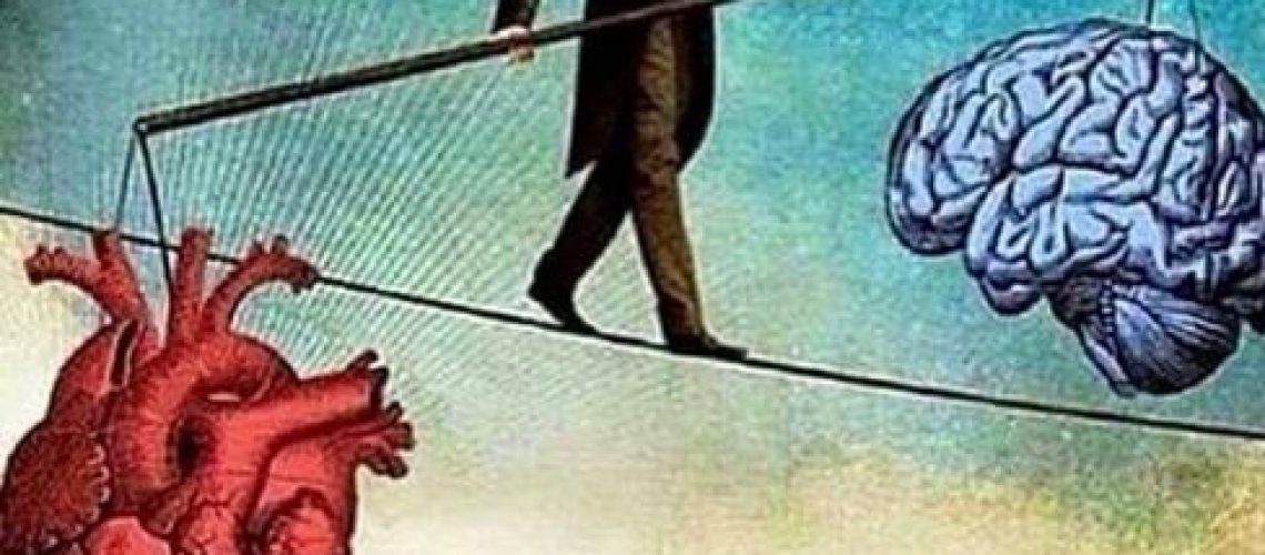 Eugénie THEVENON Article N°6 Image 4